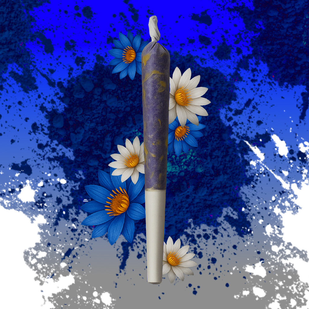 Modro-Bílý mix Prerolls