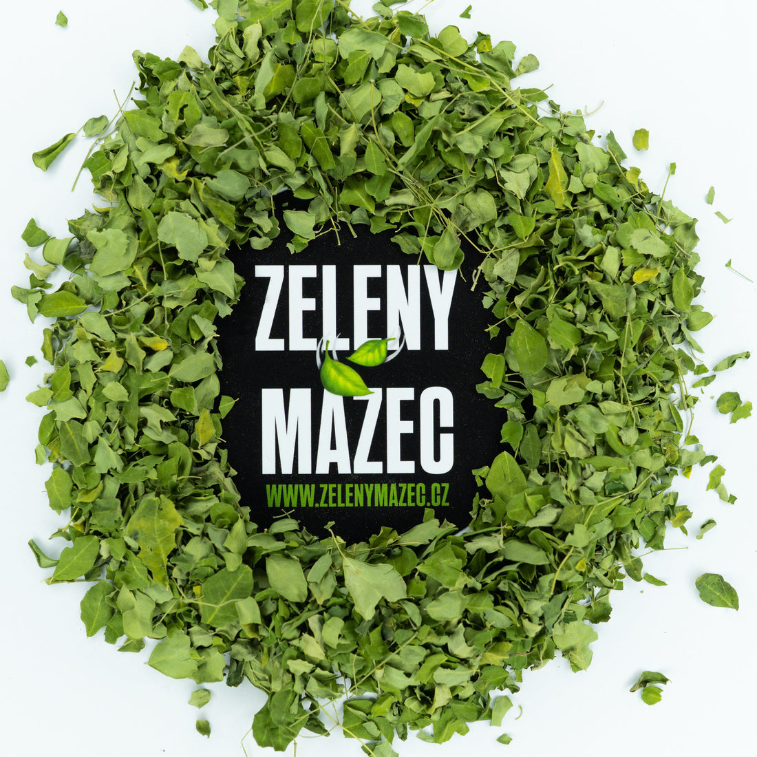 Moringa olejodárná