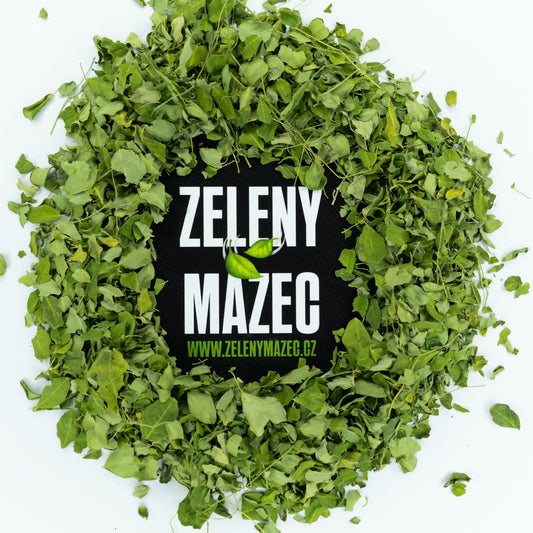 Moringa olejodárná