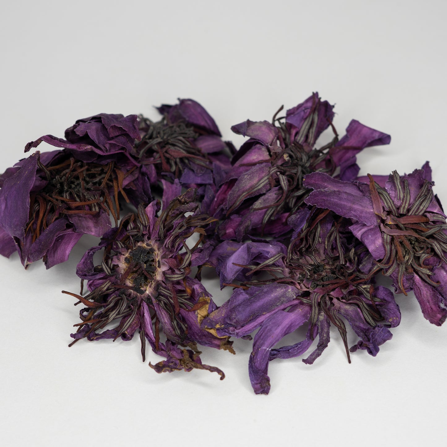 Červený Lotus Květy