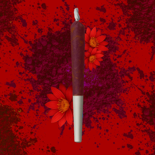 Červený Lotus Prerolls