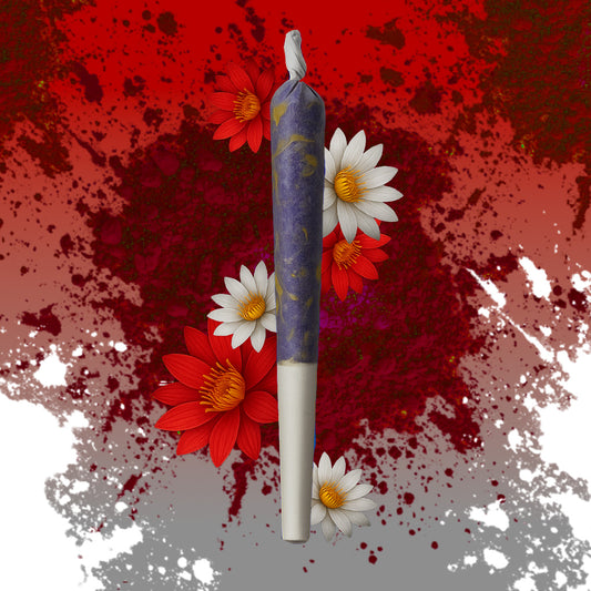 Červeno-Bílý mix Prerolls