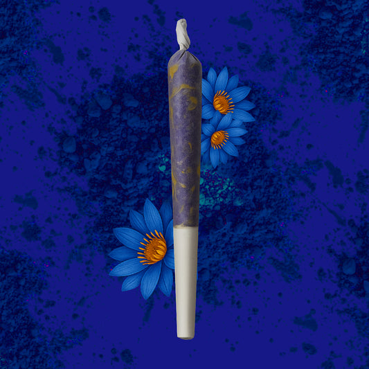 Modrý Lotus Pre Rolls