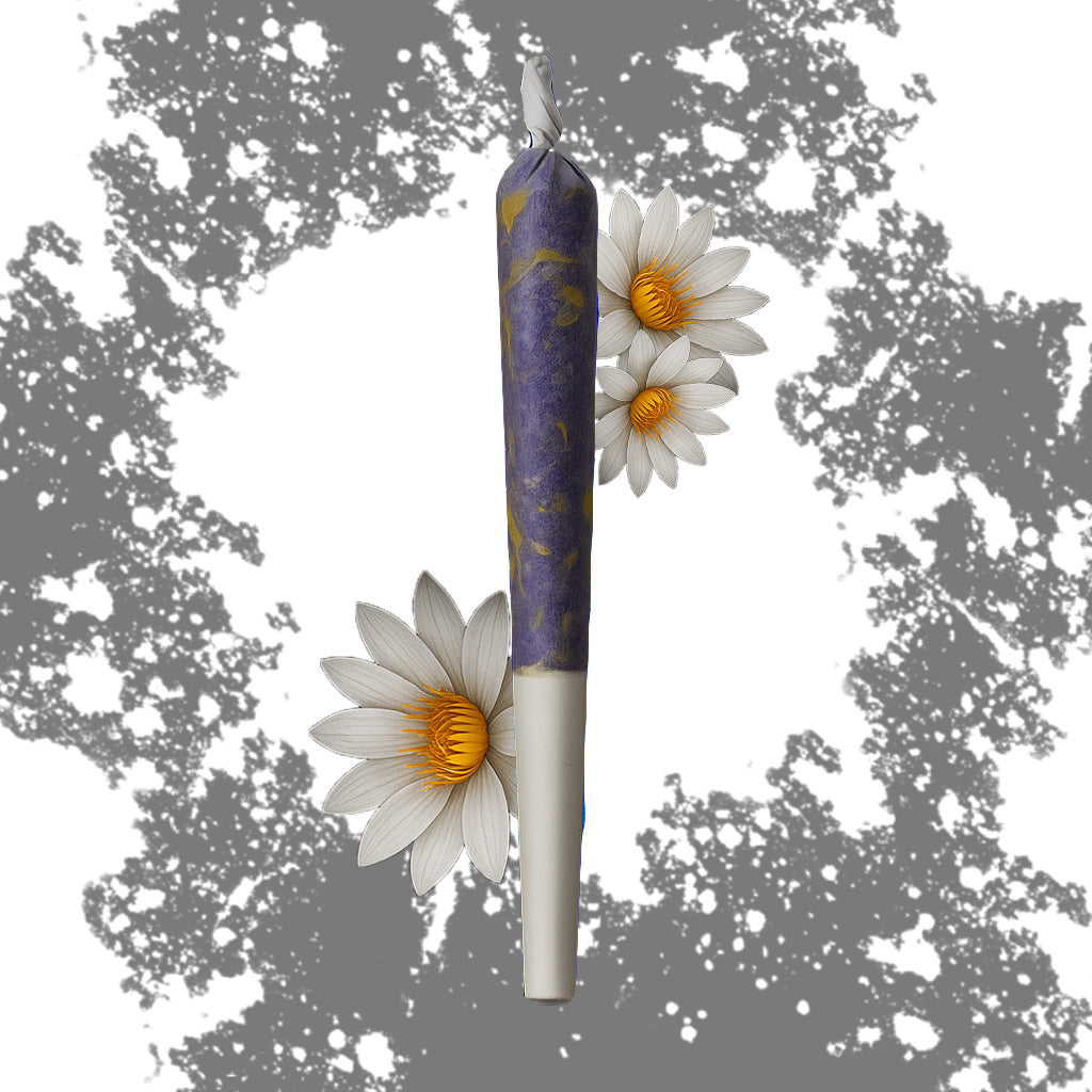 Bílý Lotus Prerolls